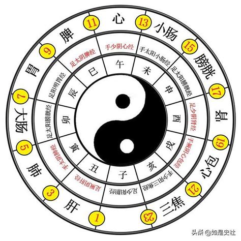 太極生兩儀兩儀生四象四象生八卦意思|太極